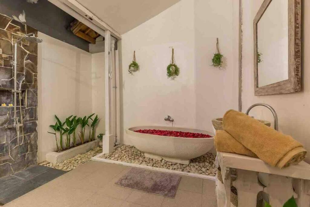 Villa Alegria Seminyak Exteriér fotografie